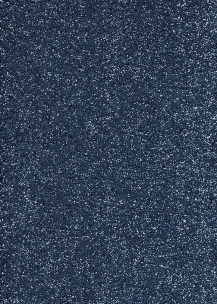 Vibes 79